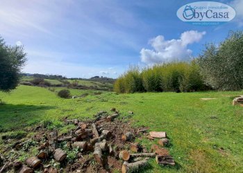 Foto 36 - Villa Oriolo Romano, Oriolo Romano - photo 36