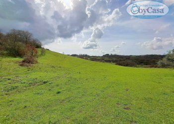 Foto 41 - Villa Oriolo Romano, Oriolo Romano - photo 41