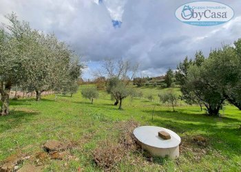 Foto 48 - Villa Oriolo Romano, Oriolo Romano - photo 48