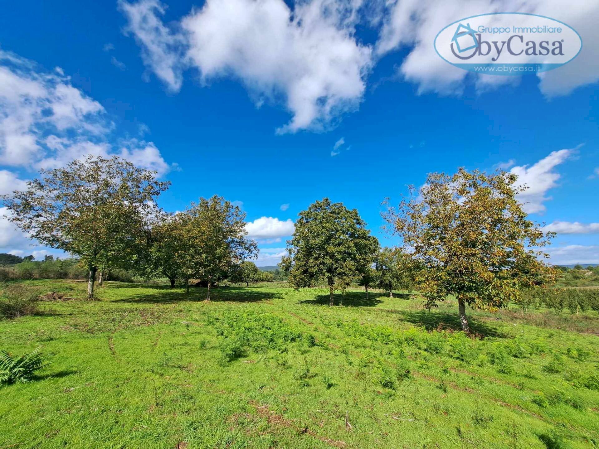 Foto 2 - Terreno agricolo Oriolo Romano, Oriolo Romano - foto 2