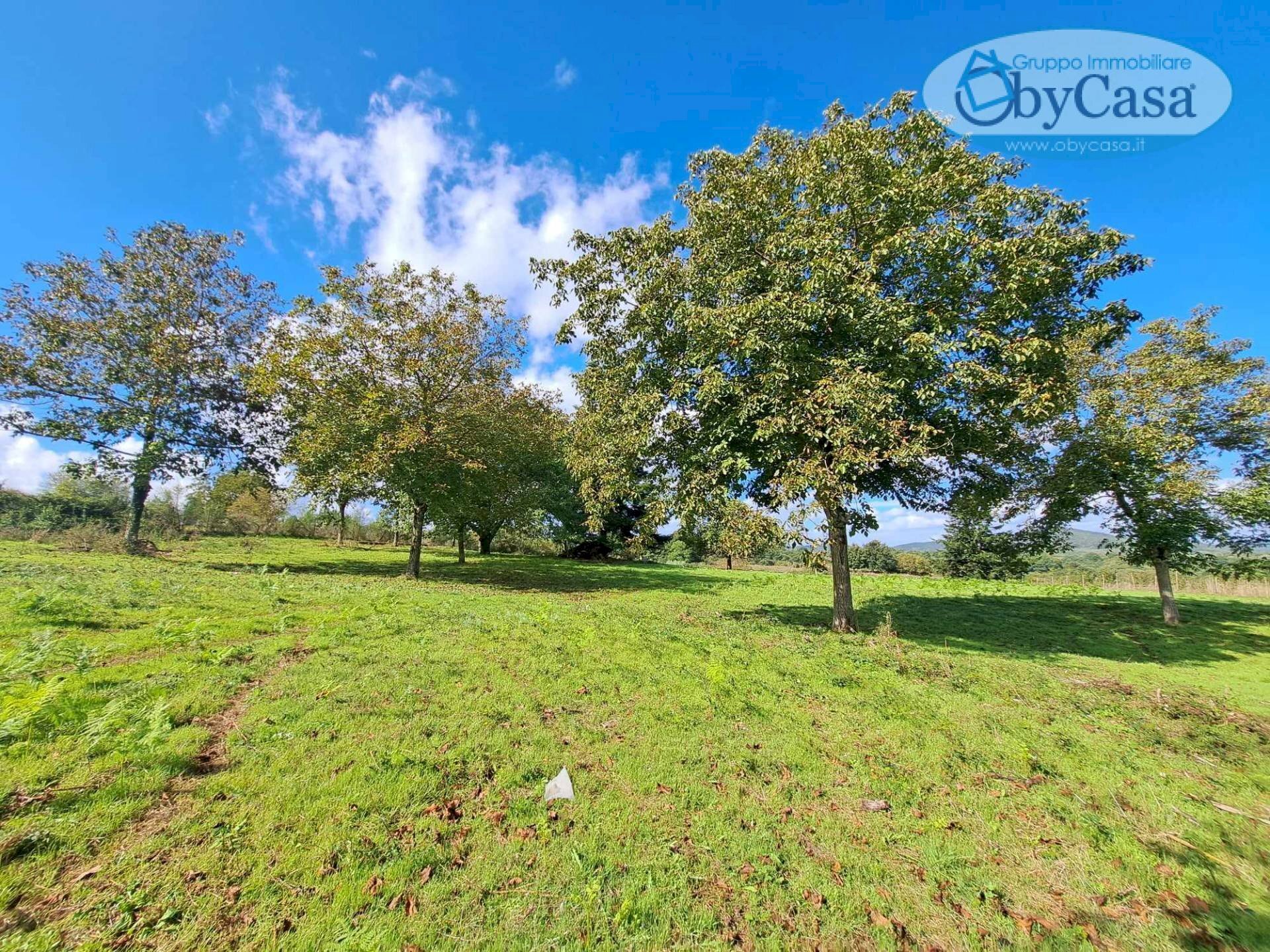 Foto 3 - Terreno agricolo Oriolo Romano, Oriolo Romano - foto 3