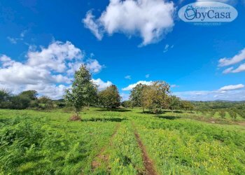 Foto 1 - Terreno agricolo Oriolo Romano, Oriolo Romano - foto 1