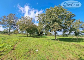 Foto 3 - Terreno agricolo Oriolo Romano, Oriolo Romano - foto 3