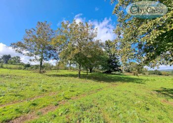 Foto 4 - Terreno agricolo Oriolo Romano, Oriolo Romano - foto 4