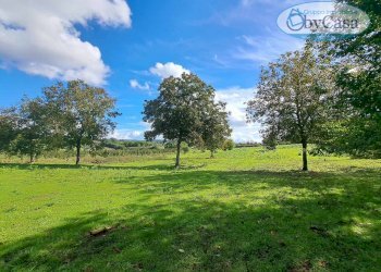 Foto 5 - Terreno agricolo Oriolo Romano, Oriolo Romano - foto 5