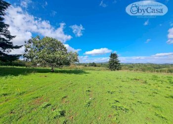 Foto 6 - Terreno agricolo Oriolo Romano, Oriolo Romano - foto 6