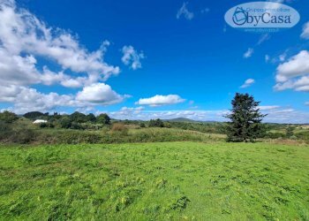 Foto 7 - Terreno agricolo Oriolo Romano, Oriolo Romano - foto 7