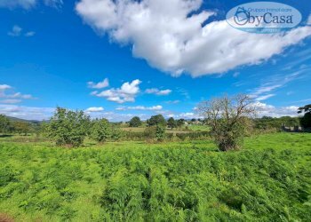 Foto 8 - Terreno agricolo Oriolo Romano, Oriolo Romano - foto 8