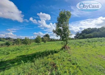 Foto 9 - Terreno agricolo Oriolo Romano, Oriolo Romano - foto 9