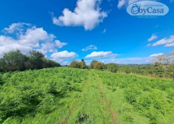 Foto 10 - Terreno agricolo Oriolo Romano, Oriolo Romano - foto 10