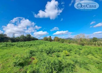 Foto 11 - Terreno agricolo Oriolo Romano, Oriolo Romano - foto 11