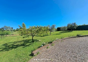 Foto 48 - Villa Vejano, Vejano - foto 48