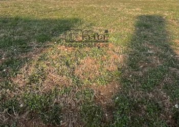 Foto 4 - Terreno edificabile PADERNELLO DI PAESE TV, Paese - foto 4