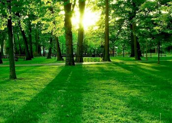 Foto 11 - Villa VIA FERMI, Paese - foto 11