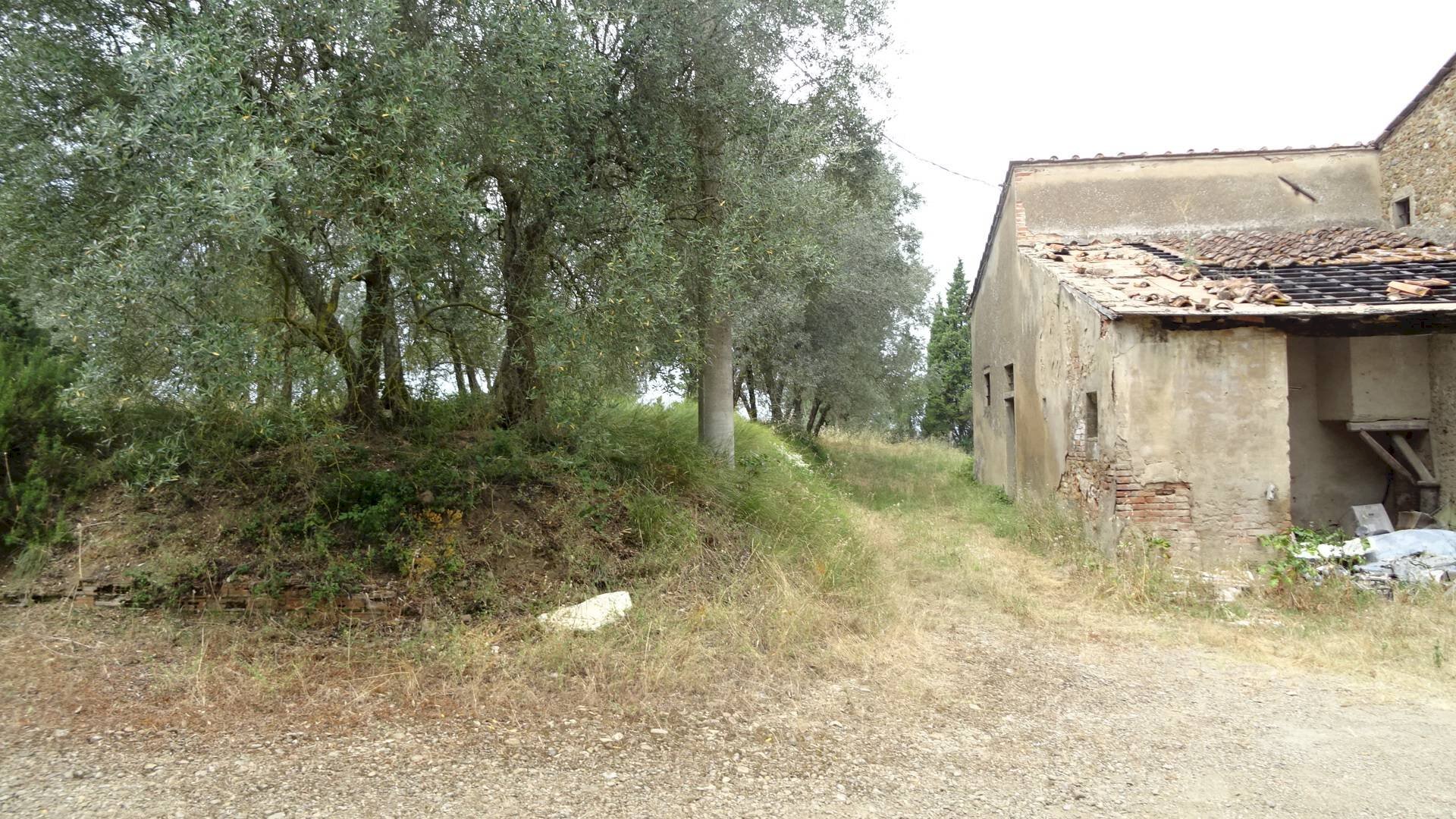 Foto 2 - Rustic Montespertoli - photo 2