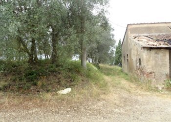 Foto 2 - Rustico Montespertoli - foto 2