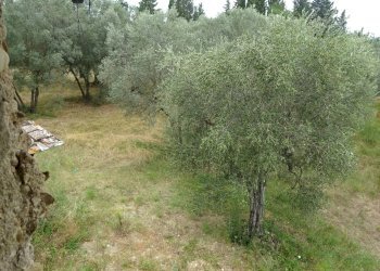 Foto 16 - Rustico Montespertoli - foto 16