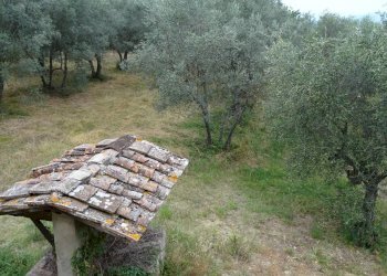 Foto 17 - Rustico Montespertoli - foto 17