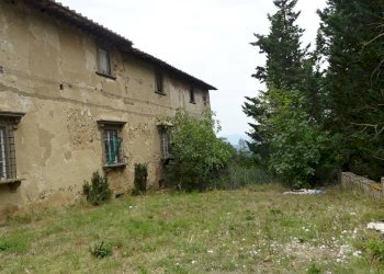 Foto 18 - Rustico Montespertoli - foto 18