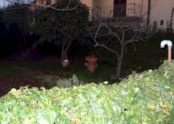 Foto 37 - Appartamento Montespertoli - foto 37