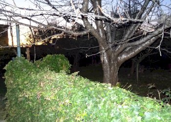 Foto 38 - Appartamento Montespertoli - foto 38