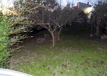 Foto 39 - Appartamento Montespertoli - foto 39