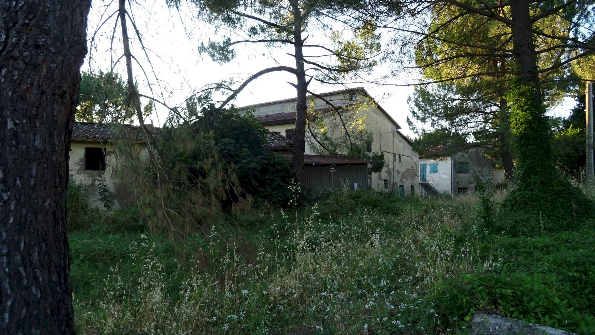 Foto 1 - Azienda agricola Montespertoli - foto 1