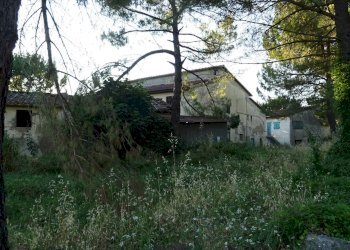 Foto 1 - Azienda agricola Montespertoli - foto 1