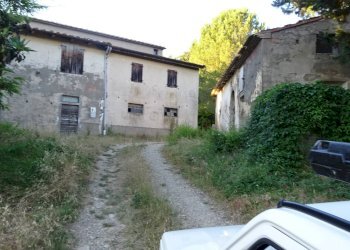 Foto 4 - Azienda agricola Montespertoli - foto 4