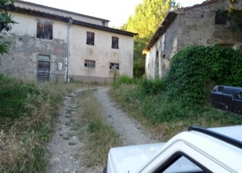 Foto 5 - Azienda agricola Montespertoli - foto 5