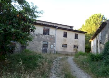 Foto 6 - Azienda agricola Montespertoli - foto 6