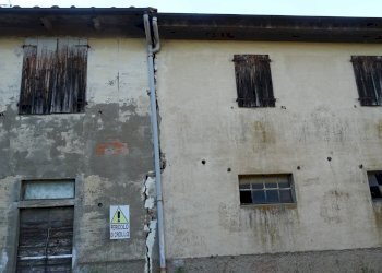 Foto 7 - Azienda agricola Montespertoli - foto 7