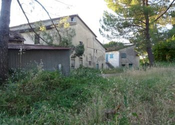 Foto 12 - Azienda agricola Montespertoli - foto 12