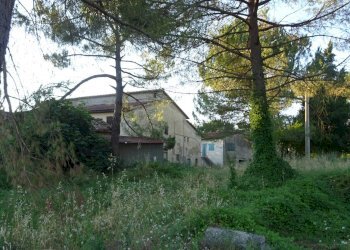 Foto 13 - Azienda agricola Montespertoli - foto 13