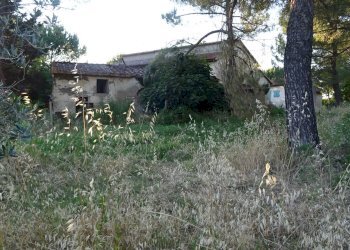 Foto 14 - Azienda agricola Montespertoli - foto 14