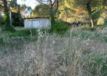 Foto 15 - Azienda agricola Montespertoli - foto 15