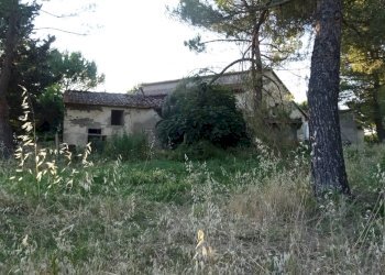 Foto 17 - Azienda agricola Montespertoli - foto 17