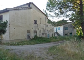 Foto 20 - Azienda agricola Montespertoli - foto 20