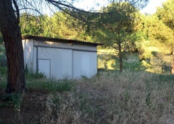 Foto 21 - Azienda agricola Montespertoli - foto 21