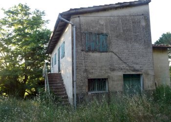 Foto 22 - Azienda agricola Montespertoli - foto 22