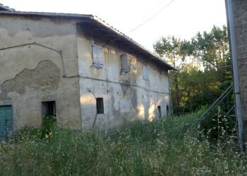 Foto 23 - Azienda agricola Montespertoli - foto 23