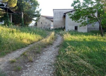 Foto 24 - Azienda agricola Montespertoli - foto 24