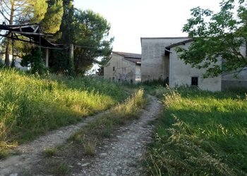 Foto 26 - Azienda agricola Montespertoli - foto 26