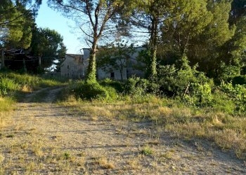 Foto 27 - Azienda agricola Montespertoli - foto 27