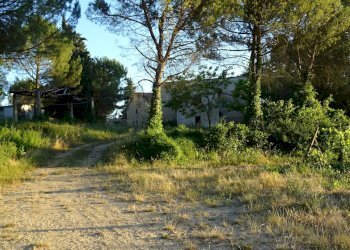 Foto 28 - Azienda agricola Montespertoli - foto 28