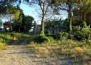 Foto 29 - Azienda agricola Montespertoli - foto 29