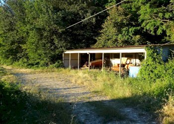 Foto 30 - Azienda agricola Montespertoli - foto 30