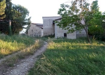 Foto 31 - Azienda agricola Montespertoli - foto 31