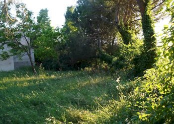 Foto 32 - Azienda agricola Montespertoli - foto 32