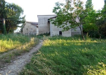 Foto 33 - Azienda agricola Montespertoli - foto 33